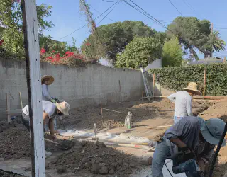 Our Work